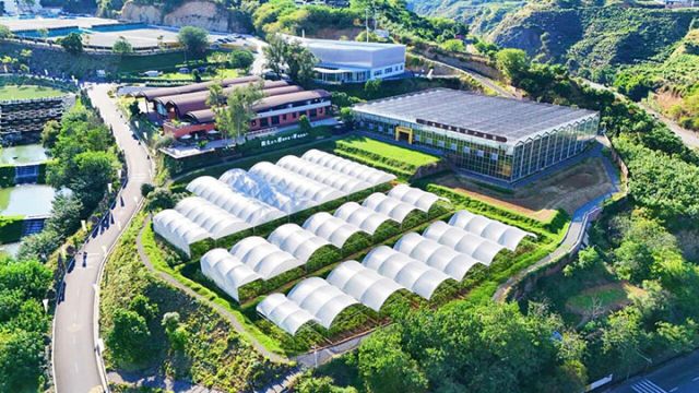 1765175968395986.jpg 2.jpg