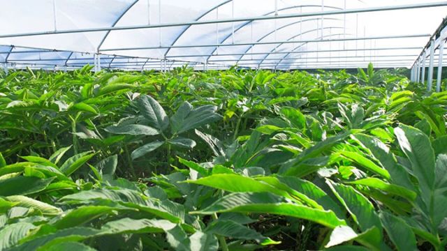 1765175974150728.jpg 3.jpg