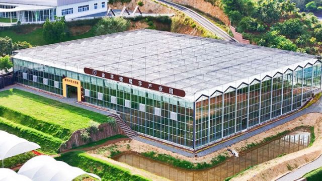 1765175990547379.jpg 6.jpg