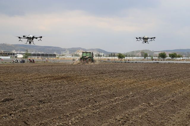 1765351548670858.jpg 无人机植保作业(高丽琴 摄).jpg