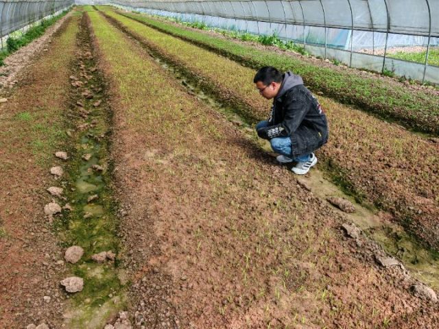 1767152149268171.jpg 图2.jpg