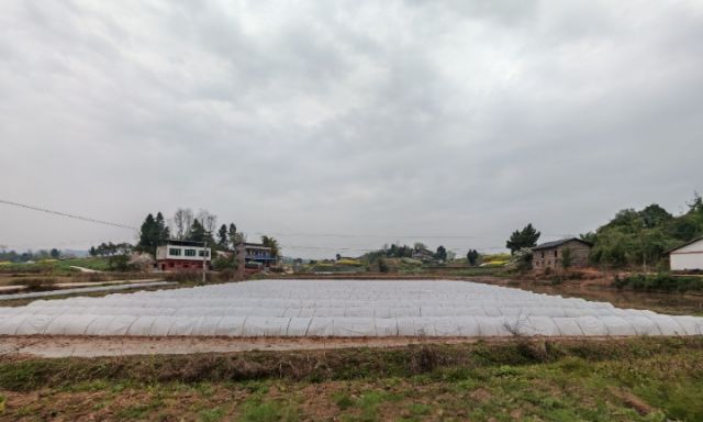 1767152153193429.jpg 图3.jpg