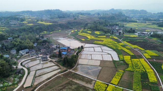 1767152158478978.jpg 图4.jpg