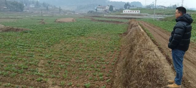 1767152162439024.jpg 图5.jpg