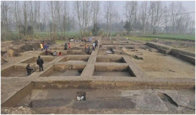 1767518791237696.jpg 图八.jpg