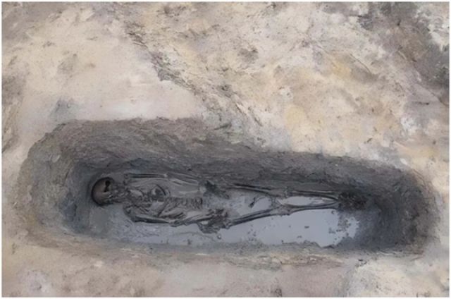 1767518822441035.jpg 图十一.jpg