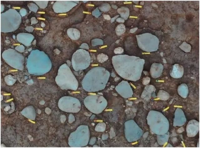 1767518875994054.jpg 图十五.jpg