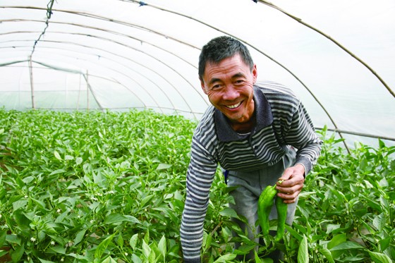 眉山村民采收辣椒时抑制不住的喜悦.jpg