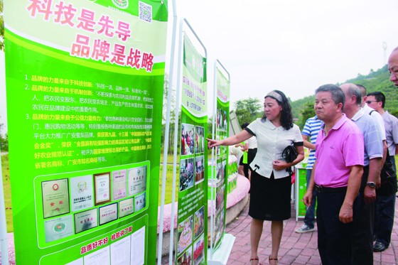 四川欧阳农业集团公司总经理欧阳晓玲向四川省政协农业委主任刘宇（右一）介绍广安蜜梨的发展情况.JPG