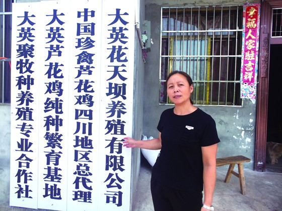 看，我们村建了好多公司。花天坝村的返乡创业妇女漆庆向记者介绍鸡养创业情况.jpg
