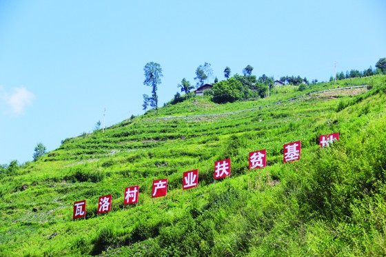 瓦洛村的产业扶贫基地.JPG