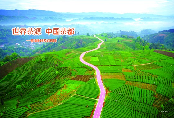 名山副本.jpg