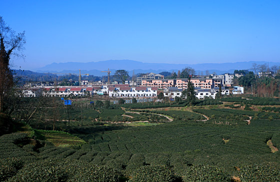 雅安市雨城区合江塘坝新村.jpg
