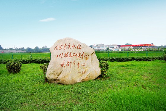 郫都区水稻基地.JPG