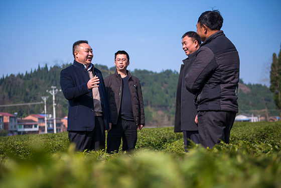 开江县农信联社理事长周依春（左一）在特色农业基地调研金融服务.jpg