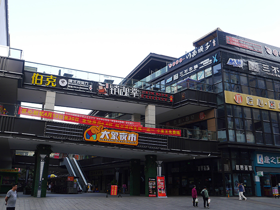 2 攀枝花东区华芝·万象城街区 周淼葭 摄.JPG