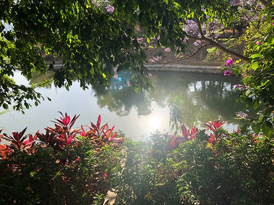 阿署达美景.jpg