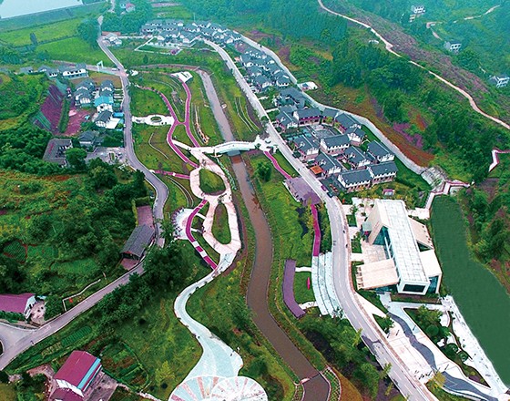 4 四川省岳池县”东邻西舍“.jpg