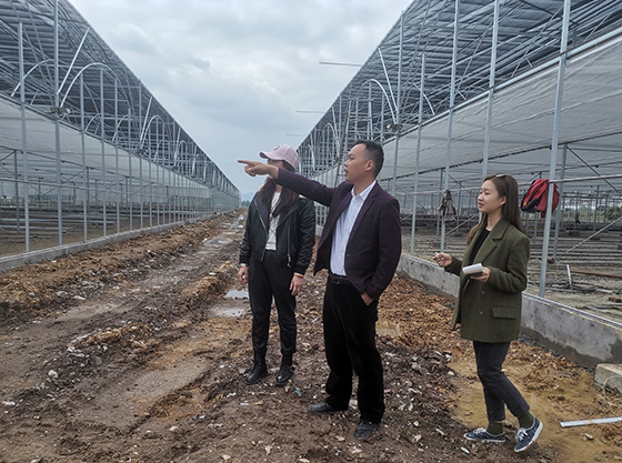 川菜基地公司总经理梁徐（中）向记者介绍智能化育苗大棚建设情况.jpg