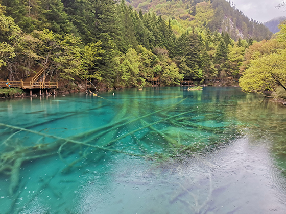 重建后的九寨沟美景一角 卢锦根摄.jpg