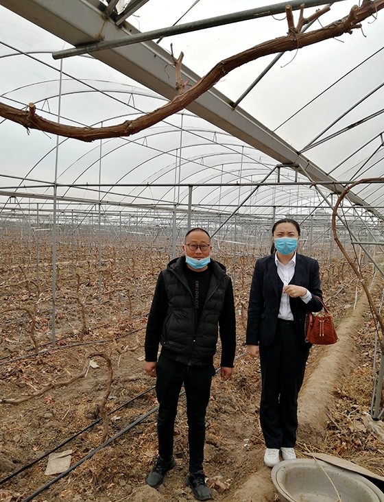 客户经理调查农户生产经营情况.jpg
