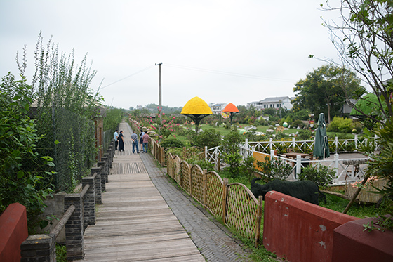 四川武胜县白坪—飞龙乡村旅游度假区  车文斌 摄.JPG
