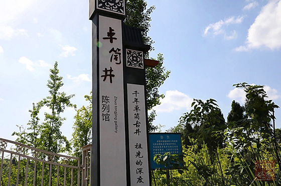 6 卓筒井遗址公园已成为当地乡村振兴的载体.jpg