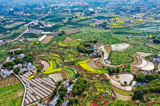 四川省武胜县“白坪——飞龙”新农村示范区, 在锦绣田园和农民新居及路网的衬托下，生机盎然，如诗如画邱海鹰  摄.JPG