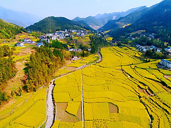 四川万源市猫儿坝村  万源市委宣传部供图.jpg