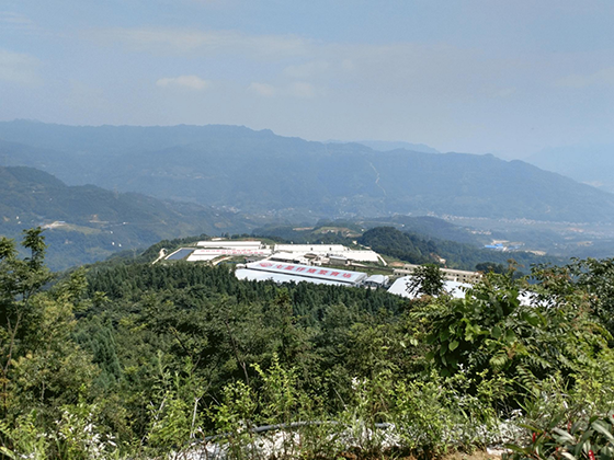 四川珙县上罗镇发展产业让石漠荒山变致富山  上罗镇政府供图.png
