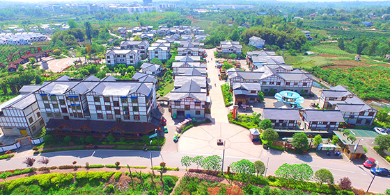 甜橙新村.jpg