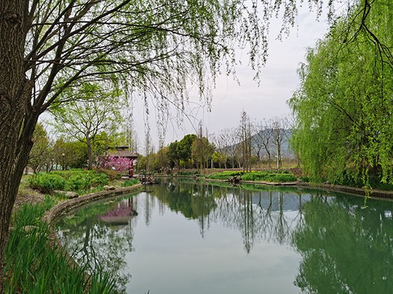 滕头村园林景观.jpg
