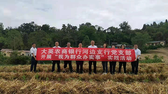 2大英农商银行党委带领河边支行党支部到河边镇双石村帮助脱贫户收割小麦.png