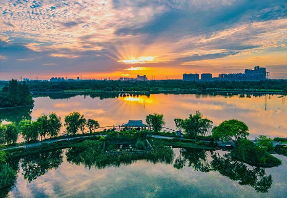 成都熊猫国际旅游度假区景观 .jpg