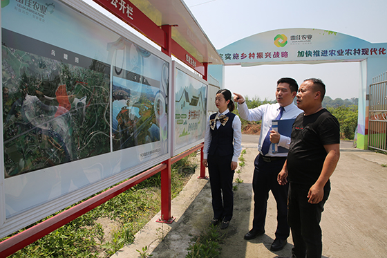 泸州农商银行员工深入园区实地调查.jpg