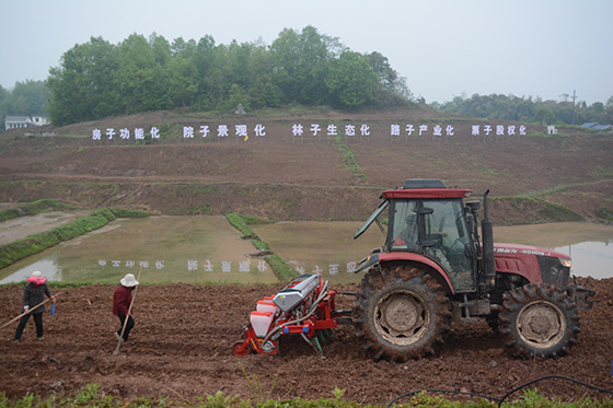 (5)渠县玉米大豆带状种植区里，翻土机正在作业  车文斌 摄.JPG