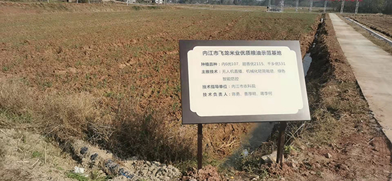 4内江市飞龙米业优质粮油示范基地.jpg