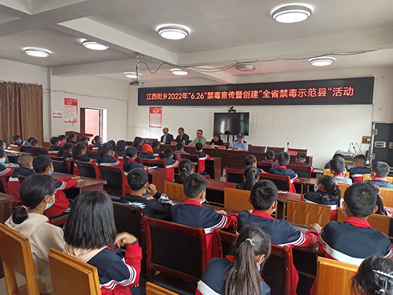 (2)会东县委禁毒委成员单位分赴挂包乡镇（街道）开展集中宣传活动.jpg