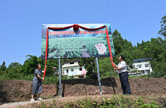 6校地双方为“生姜新栽培技术集成与应用研究”项目揭幕.jpg
