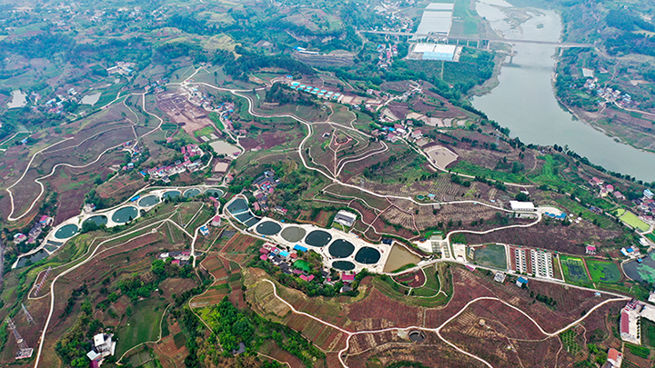 资中县国家现代农业产业园——中国橙堡鱼乡融合发展示范园.jpg