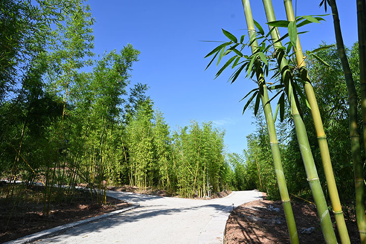 3二灰铺筑基本完工，等待沥青混凝土路面铺筑.jpg