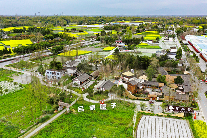 郫都区战旗村川西林盘.jpg