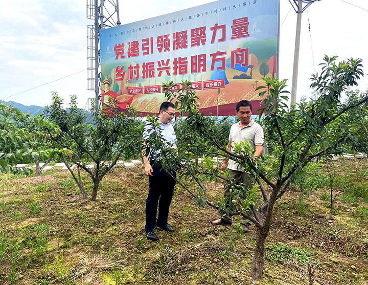 调研农户水果种植情况.jpg