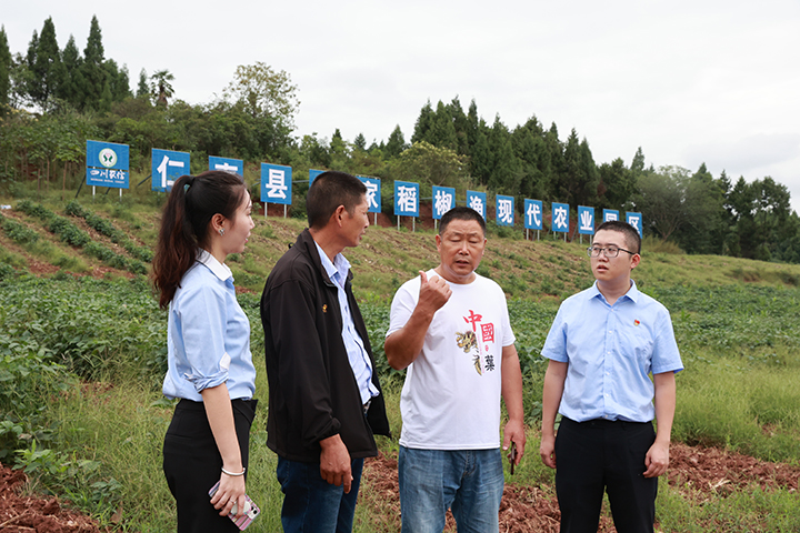 信贷支持仁寿县方家镇稻椒渔现代农业园区.jpg