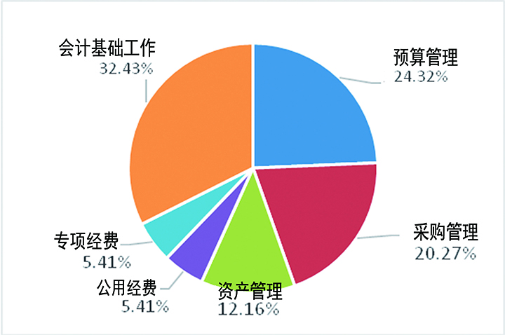 图1：各类财务问题占比情况0.jpg