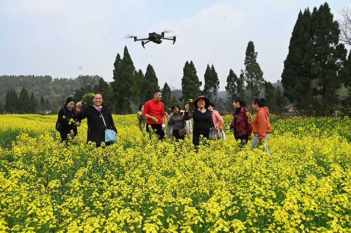图2  3月8日，四川省内江市东兴区永福镇盘陀村，游客们三三两两漫步千亩油菜花基地，沉醉在迷人的花海里，感受惬意的春日美景.jpg