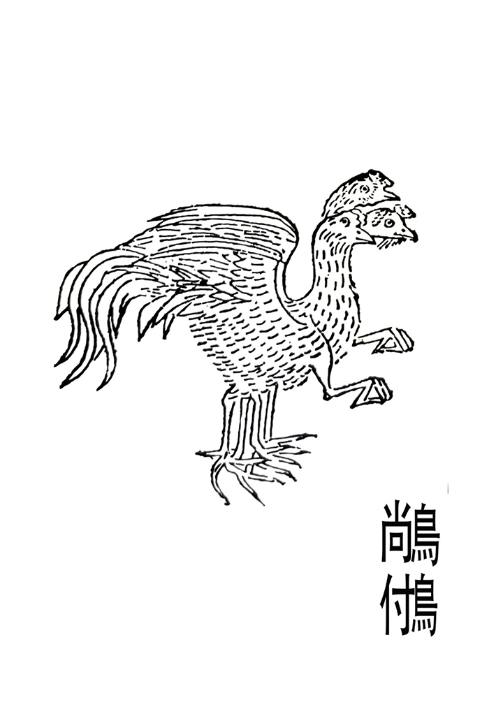 6.png