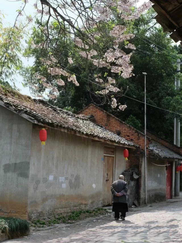 微信图片_20240419204848.jpg