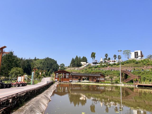 金龙村盛景  周淼葭 摄.jpg