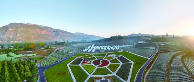 沙湾柔毛淫羊藿育苗示范基地.jpg